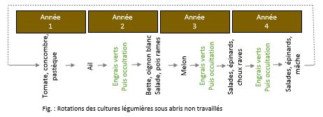 Schéma de la rotation du Système de culture suivi