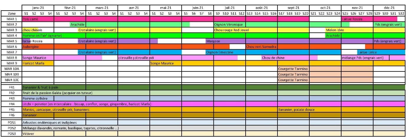 Schéma succession culturale