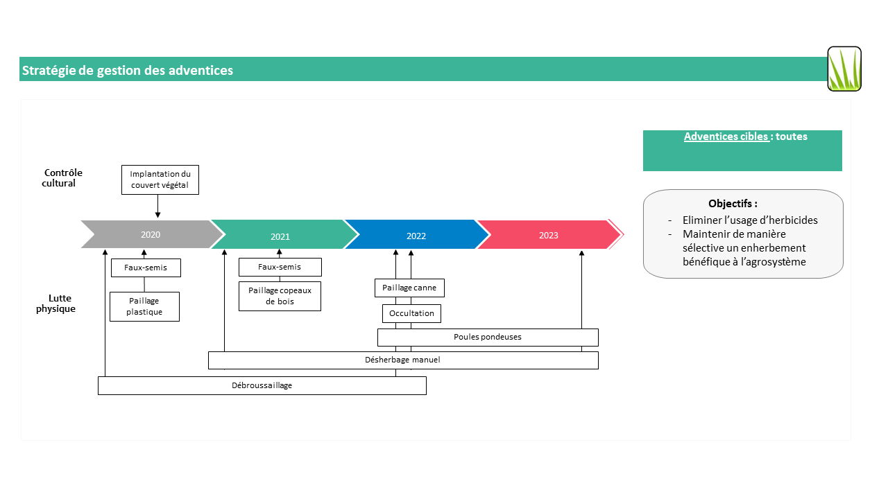 Schéma décisionnel leviers adventices