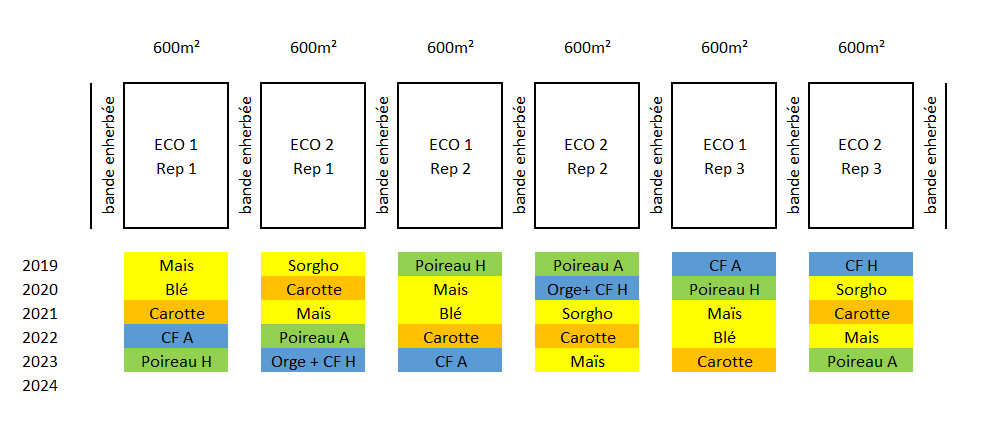 6 parcelles d'environ 600m² - 2 Systèmes de Culture x 3 répétitions