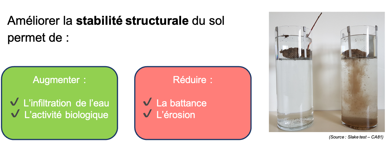 Stabilté structurale