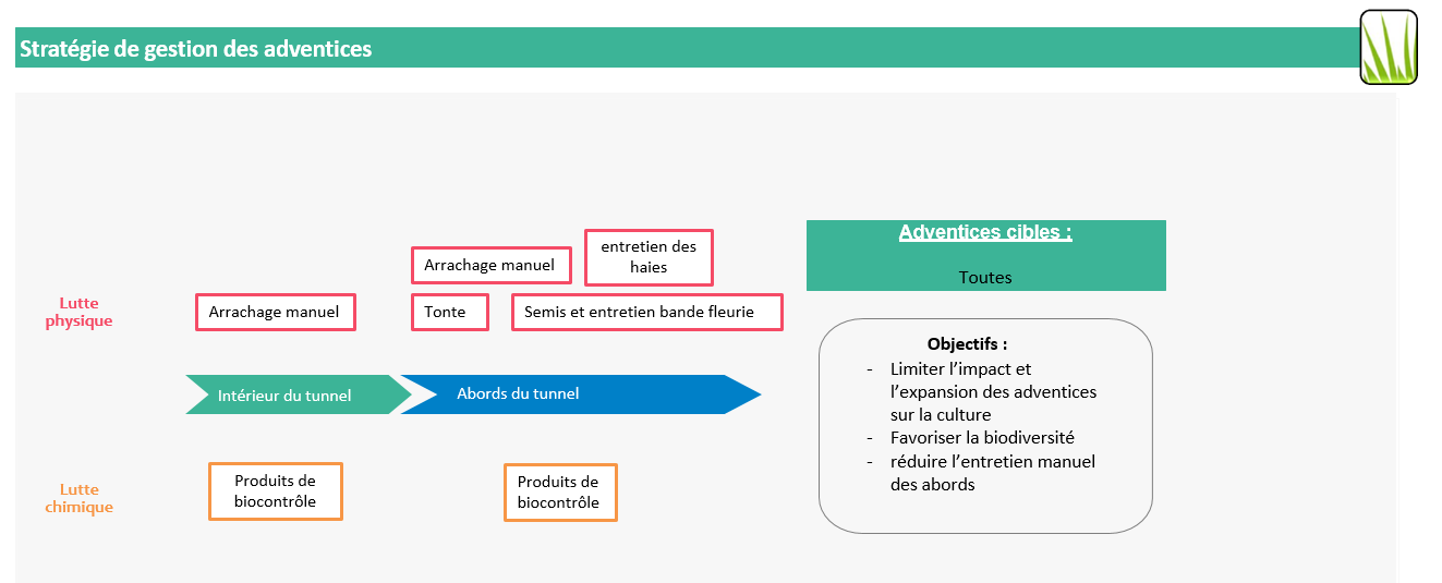 Stratégie gestion des adventices