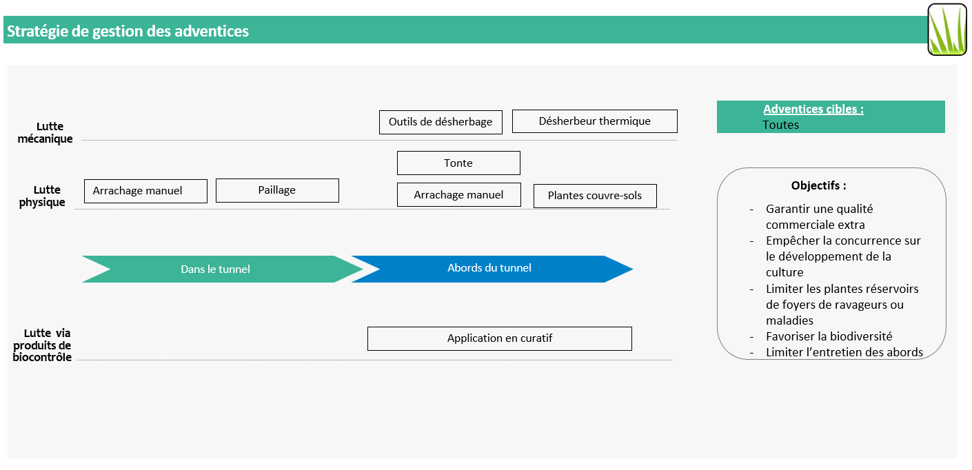 Stratégie de gestion des adventices