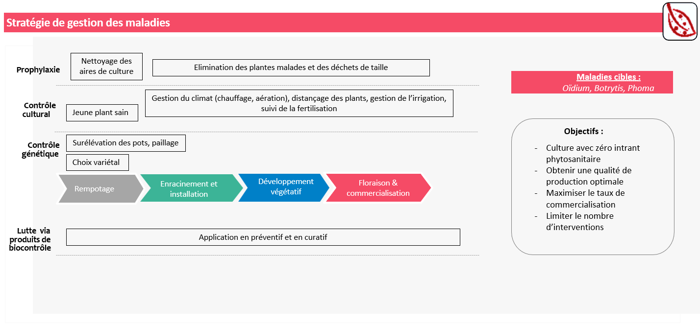 Stratégie de gestion des maladies