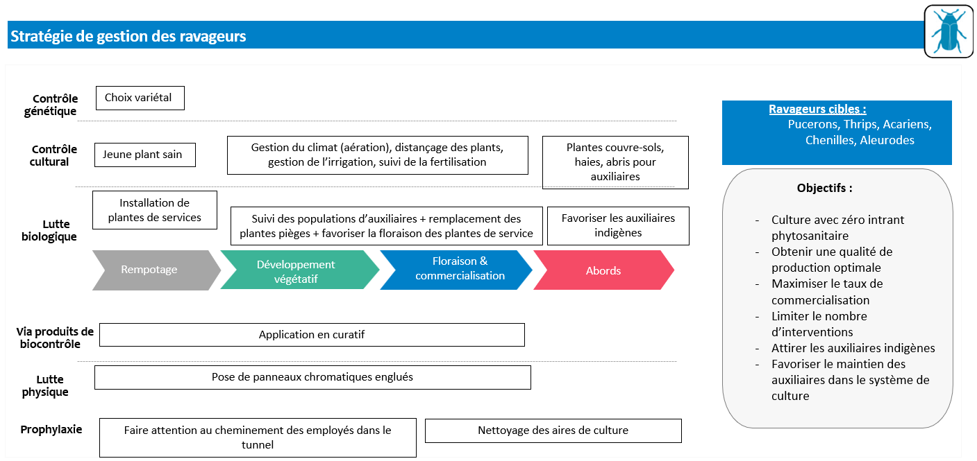 Stratégie de gestion des ravageurs