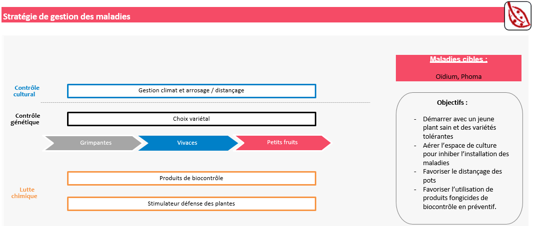 Stratégie de gestion des maladies