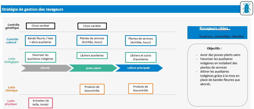Stratégie de gestions des maladies