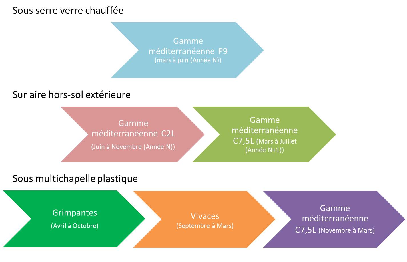 Succession culturale pour le projet HORTIPEPI 2 à ALB-CDHRC