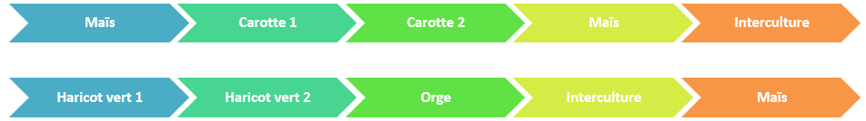 Succession culturale sur le site 2, SdC ECO 3, projet AlterCarot