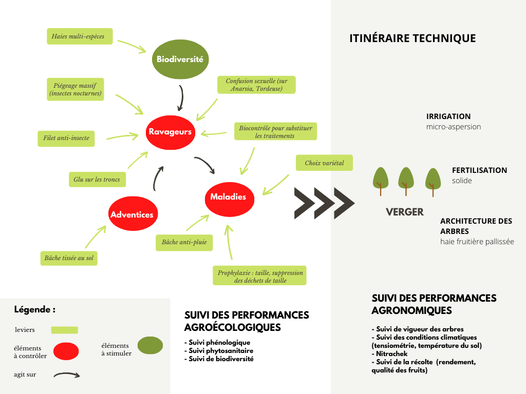 schéma conception système ECO