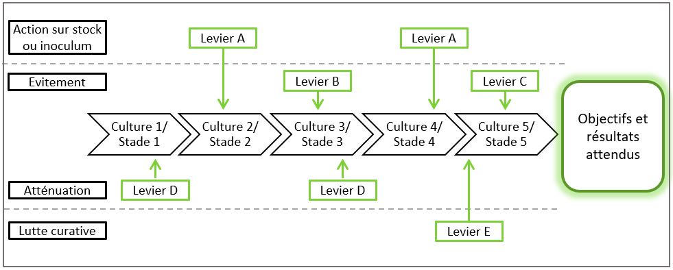 Exemple d'un schéma décisionnel théorique