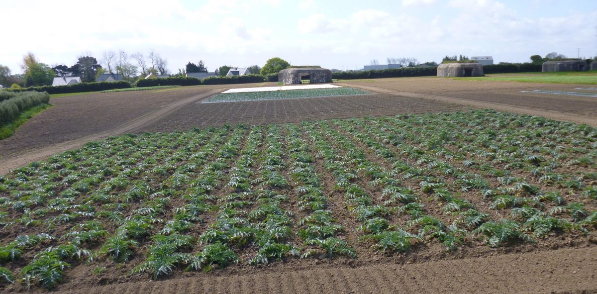 Parcelles de Terre d'Essais