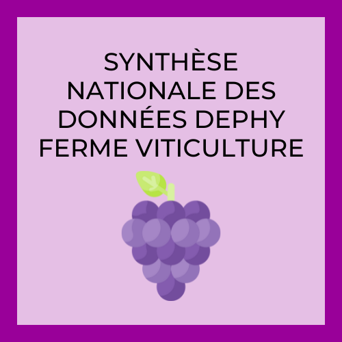 Synthèse DEPHY Viticulture