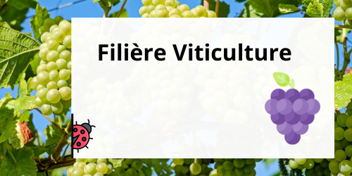 logo Viticulture