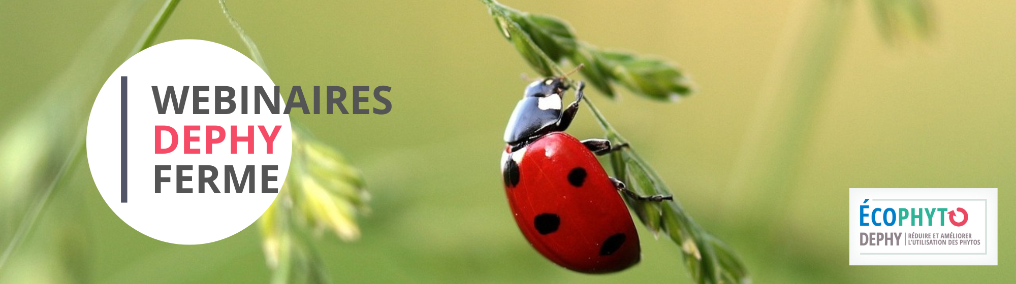Webinaires DEPHY FERME