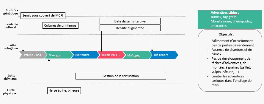 Schéma décisionnel adventices