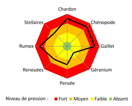 Diagramme des principales adventices présentes sur le site de Bretenière