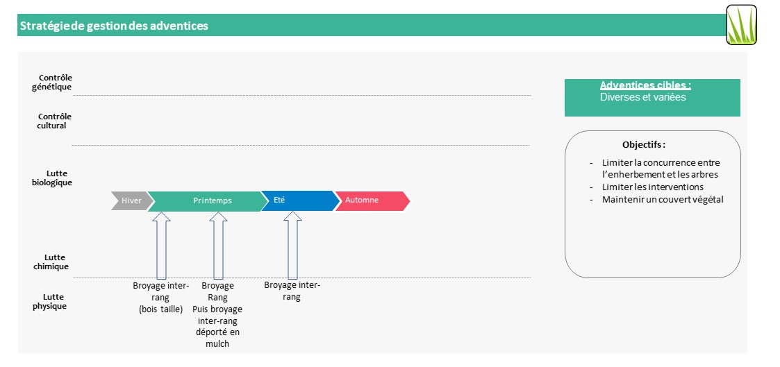 Schéma décisionnel adventices