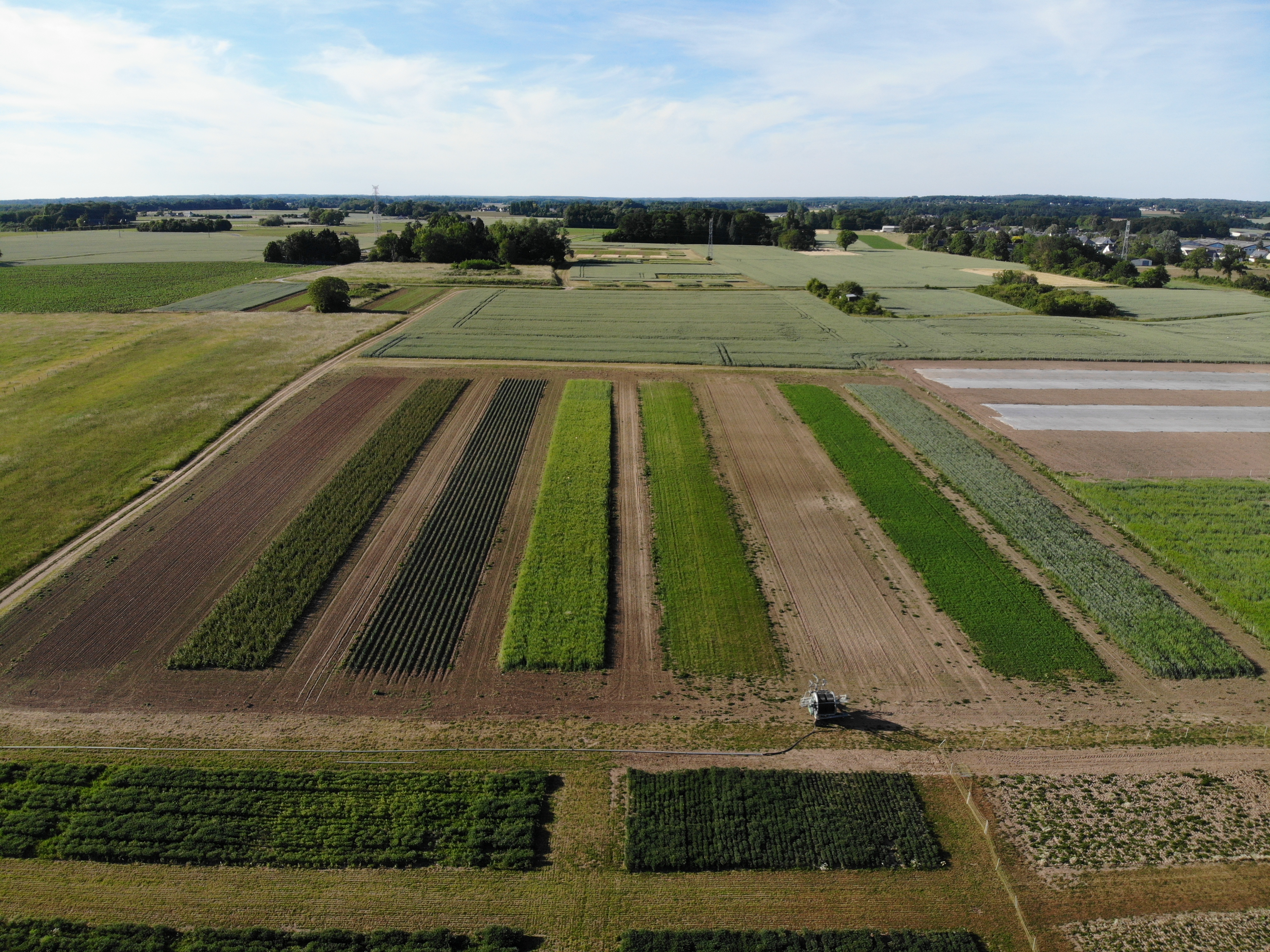 Dispositif d'Agrosem à Brain sur l'Authion