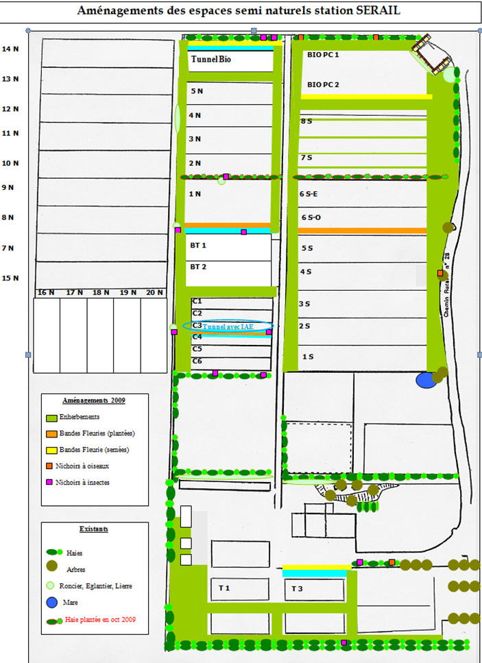 aménagement paysage