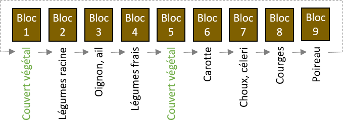 Assolement des cultures légumières en plein champ (année n). Les flèches indiquent le nouvel emplacement des cultures en année n+1.