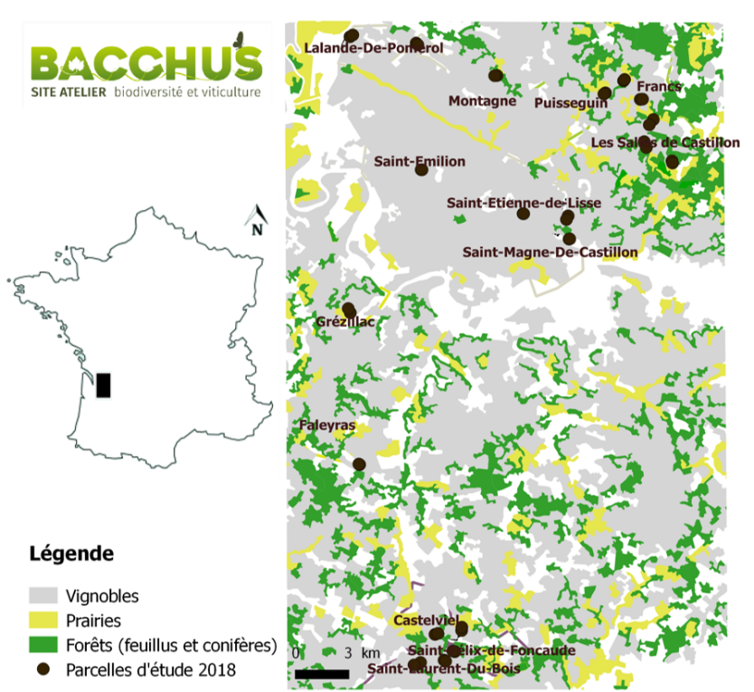 carte du site atelier Bacchus