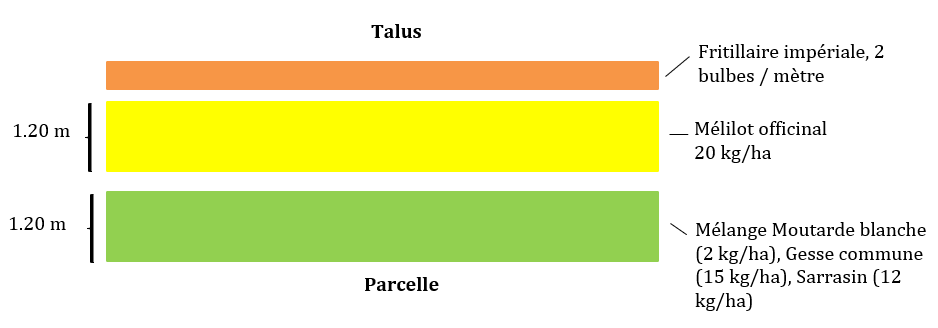 Composition de la bande