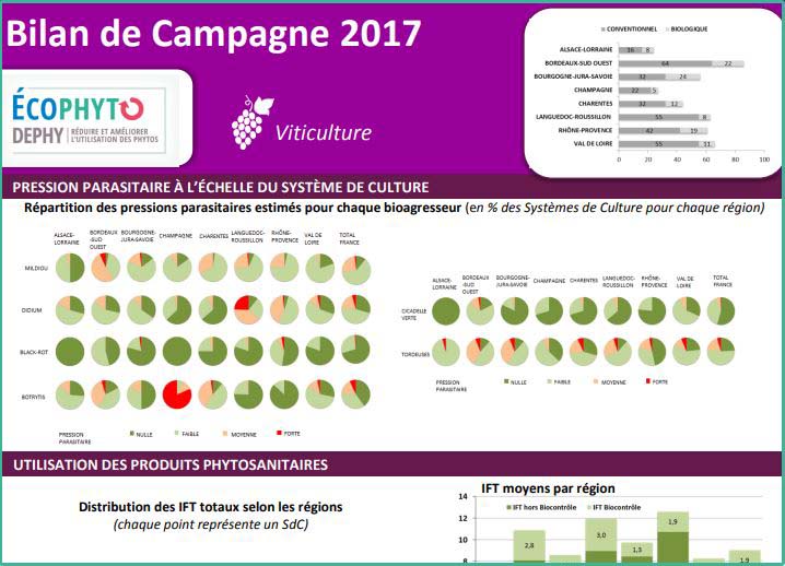 bilan campagne viti dephy 2017