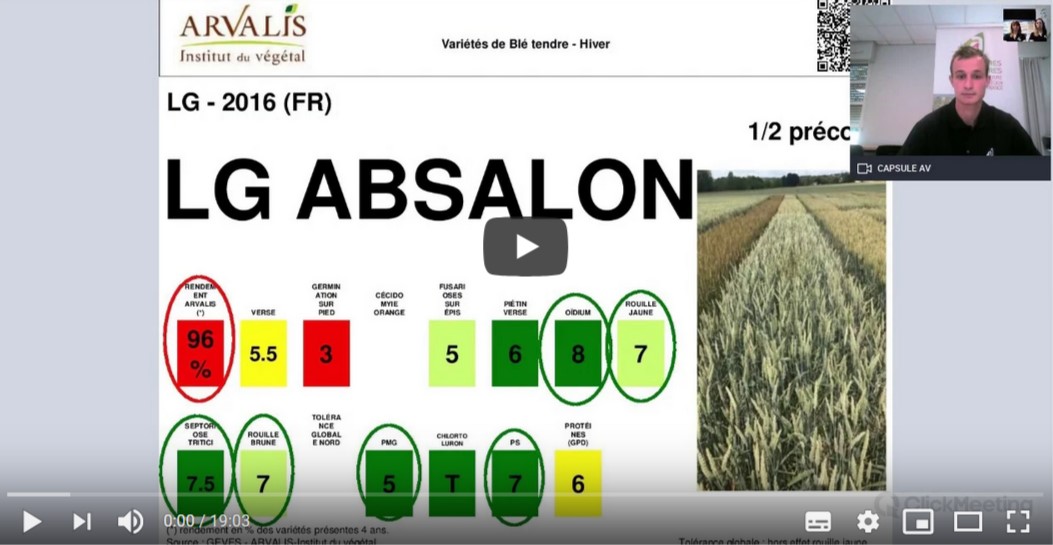 Essais sur les blés en protection intégrée