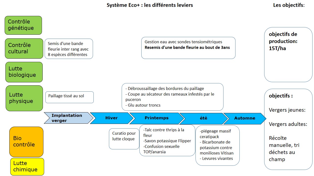 schéma décisionnel pour les stratégies mises en oeuvre du système Eco+