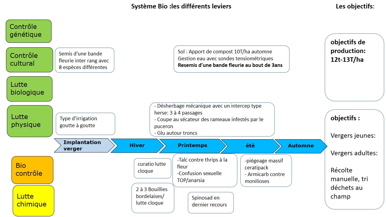 schéma décisionnel des stratégies utilisées pour le système Bio