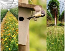 biodiversité fonctionnelle