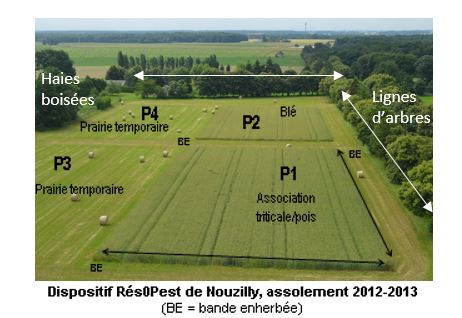 Dispositif expérimental