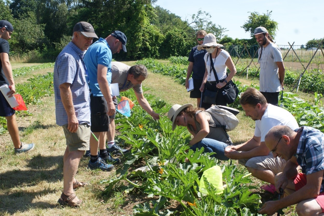 Photo 1 Journée entomologie 2