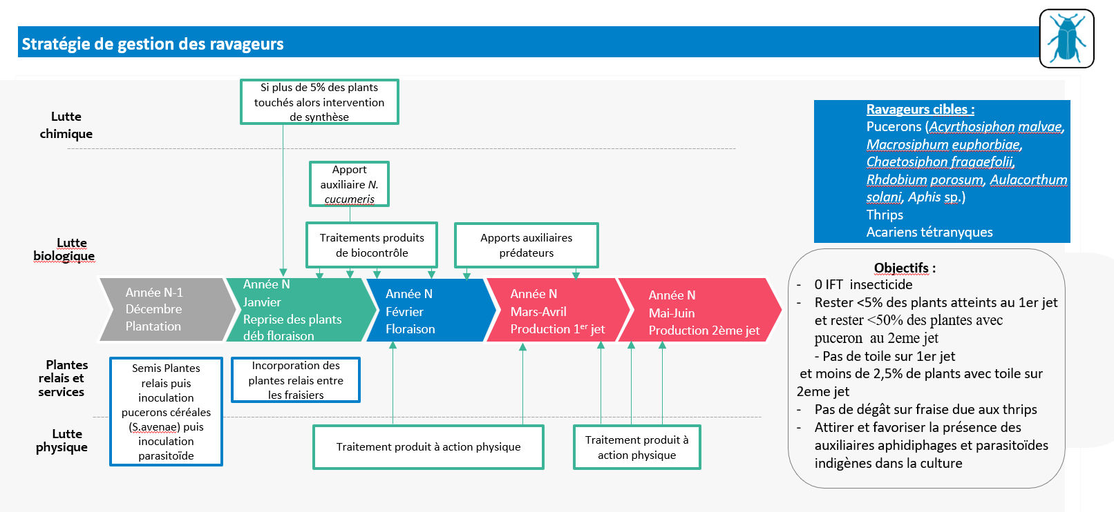 Schéma décisionnel ravageur