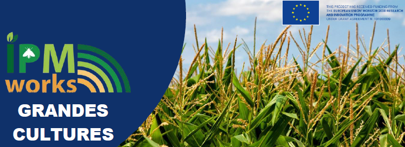 ipmworks docs gc en français