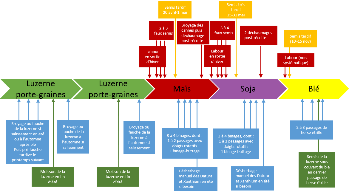 Schéma de gestion des adventices - Dunière