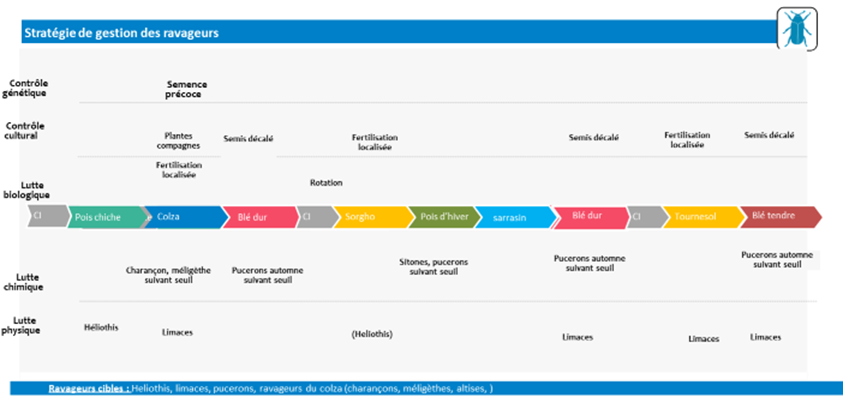 Stratégie de gestion des ravageurs
