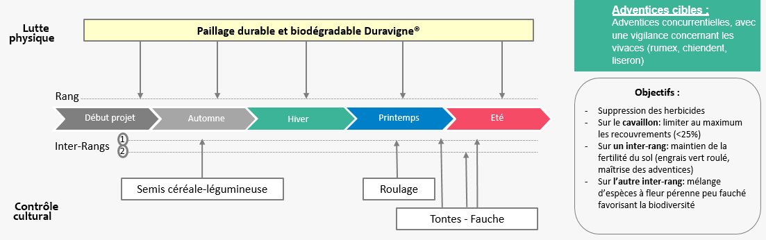 Gestion des adventices