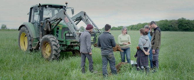 groupe autour d'un profil de sol