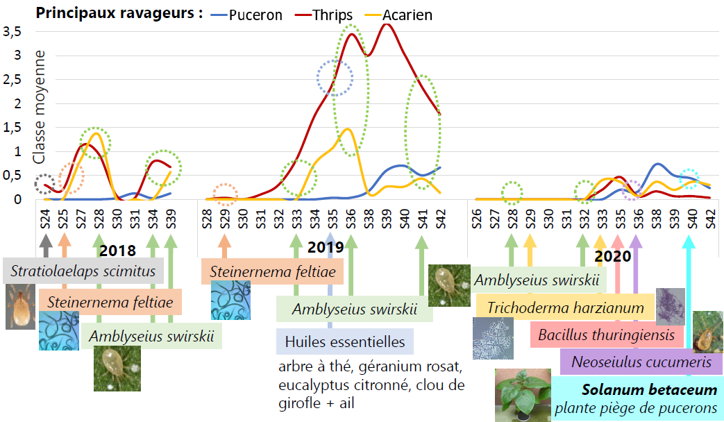 Leviers HORTIPOT 2018-2020