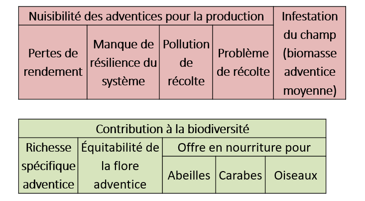 Indicateurs calculés par Florsys