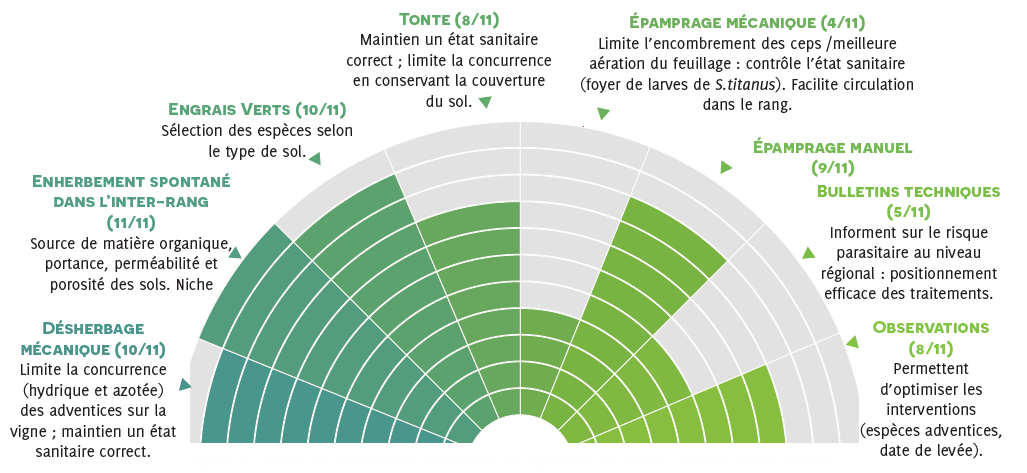 Alternatives aux herbicides