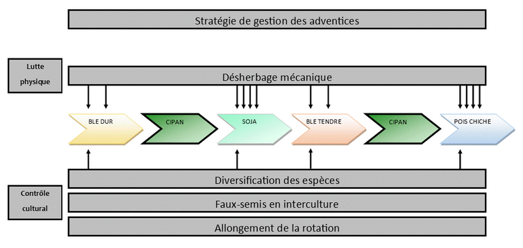 Leviers lutte adventices