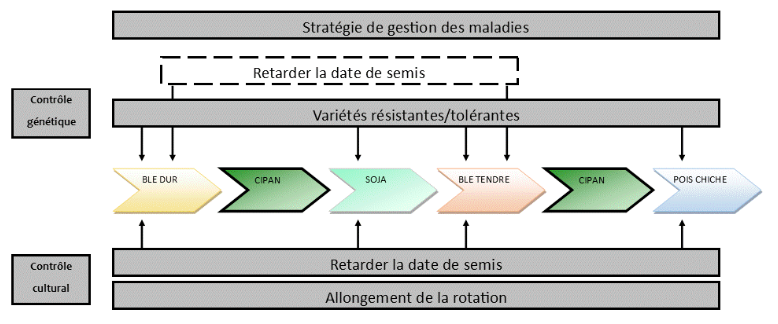 Leviers lutte maladies