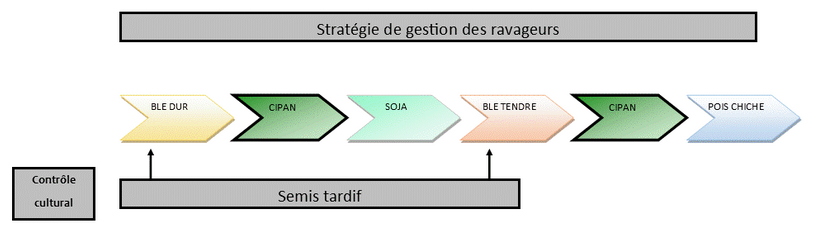 Leviers lutte ravageurs