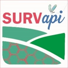 logo survapi