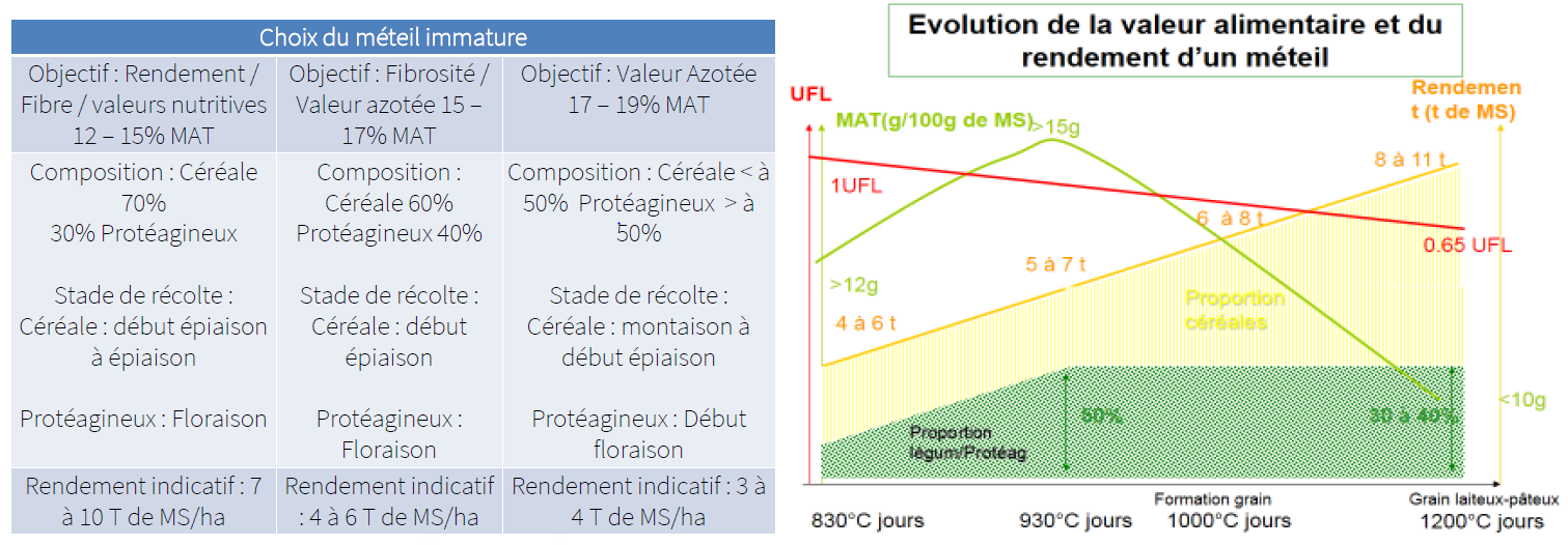 Choix du méteil immature