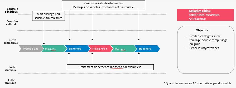 Schéma décisionnel maladies