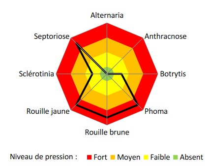 Diagramme des principales maladies présentes sur le site de Bretenière